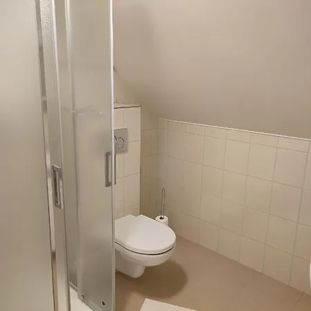 Niki * Rokytnice nad Jizerou